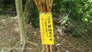 森下公園に行く途中