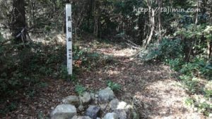 高社山の三角点