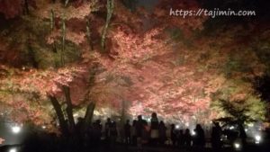 曽木公園の逆さもみじ