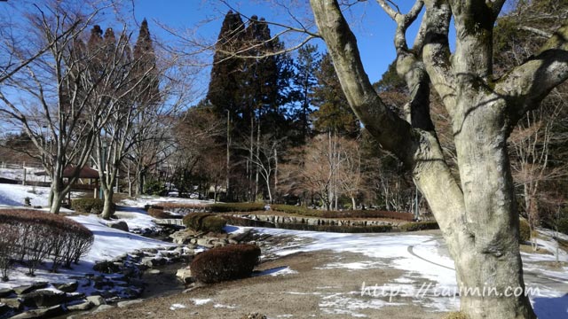 冬の曽木公園