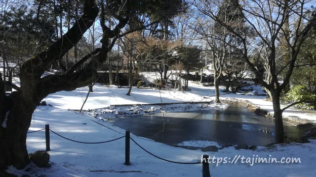 冬の曽木公園