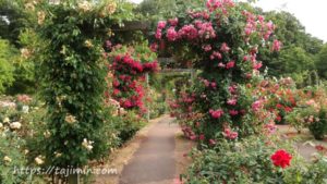 花フェスタ記念公園