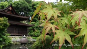 虎渓山永保寺