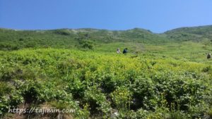 伊吹山登山