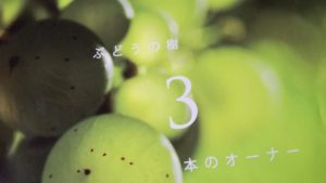 ぶどうの樹3本のオーナー