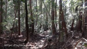 高社山への道